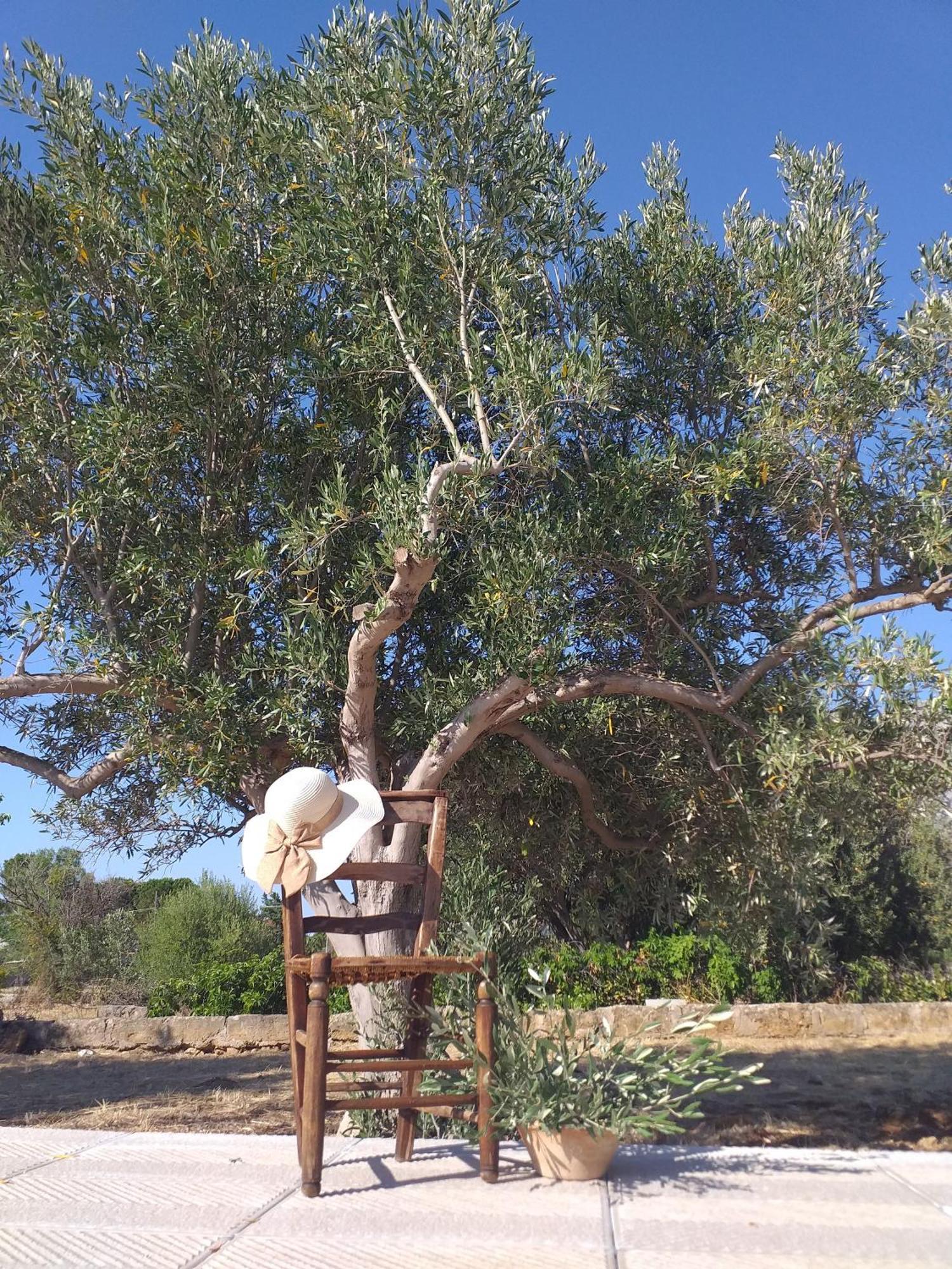 Inkantu B&B Terrasini Δωμάτιο φωτογραφία